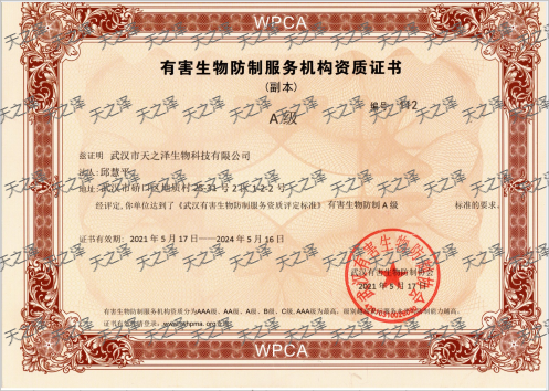 有害生物防制服務機構資質證書-A級